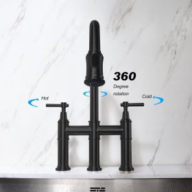 Pull Down Double Handle Kitchen Faucet