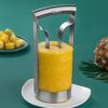 Stainless Steel Pineapple Corer Peeler Cutter