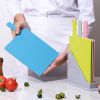 Assortment Chopping Board W/ Handle 4pcs Color Box W/ Base