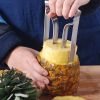 Stainless Steel Pineapple Corer Peeler Cutter