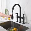 Pull Down Double Handle Kitchen Faucet