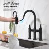 Pull Down Double Handle Kitchen Faucet