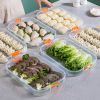 Refrigerator Dumpling Storage Box Frozen Dumplings Multi-layer