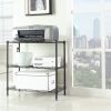 Concise 3 Layers Carbon Steel & PP Storage Rack